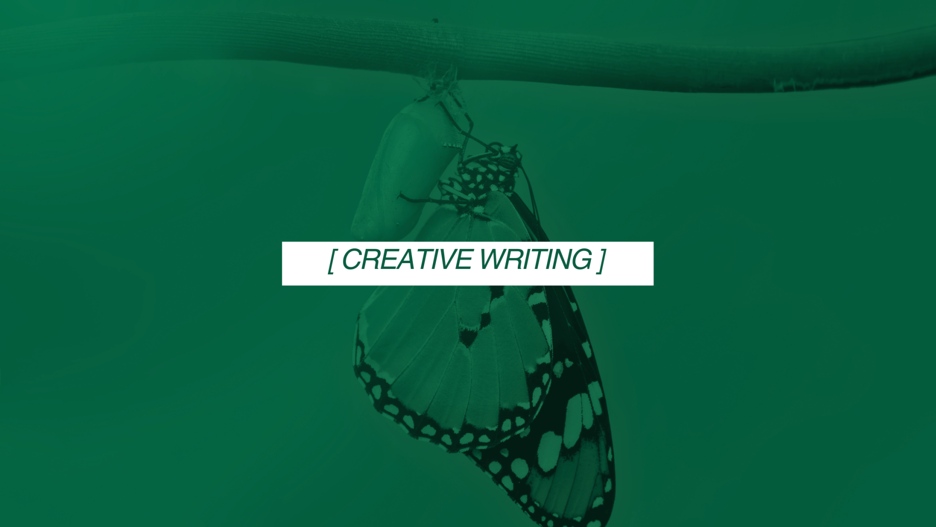 Metamorphosis – A Diary of My Twenties