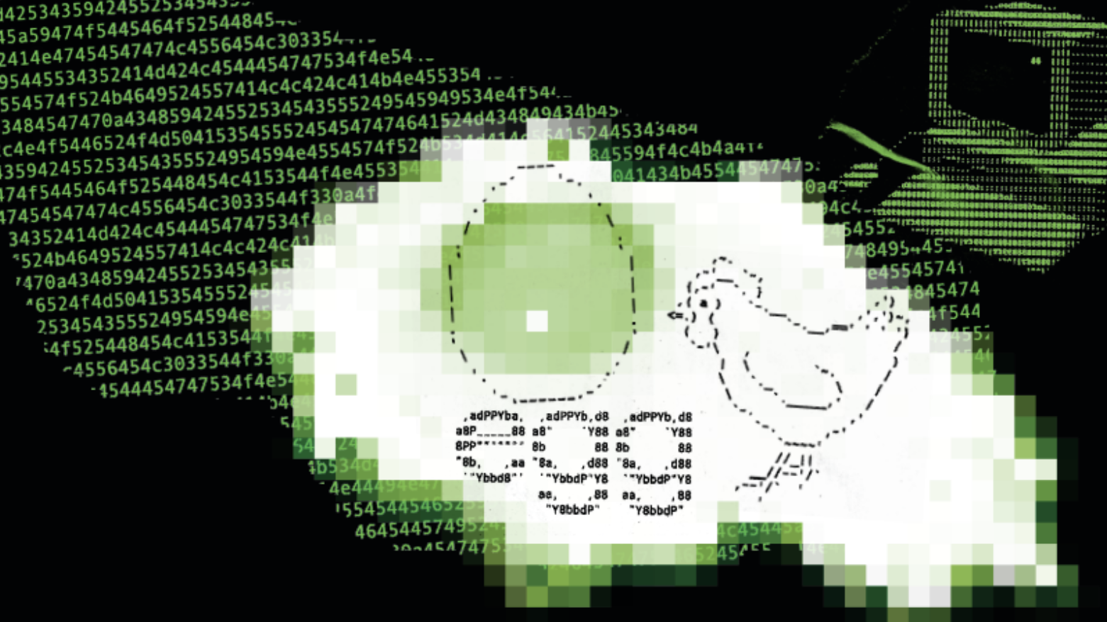 Cracking Code and Confidence – the ultimate beginner guide to cybersecurity  