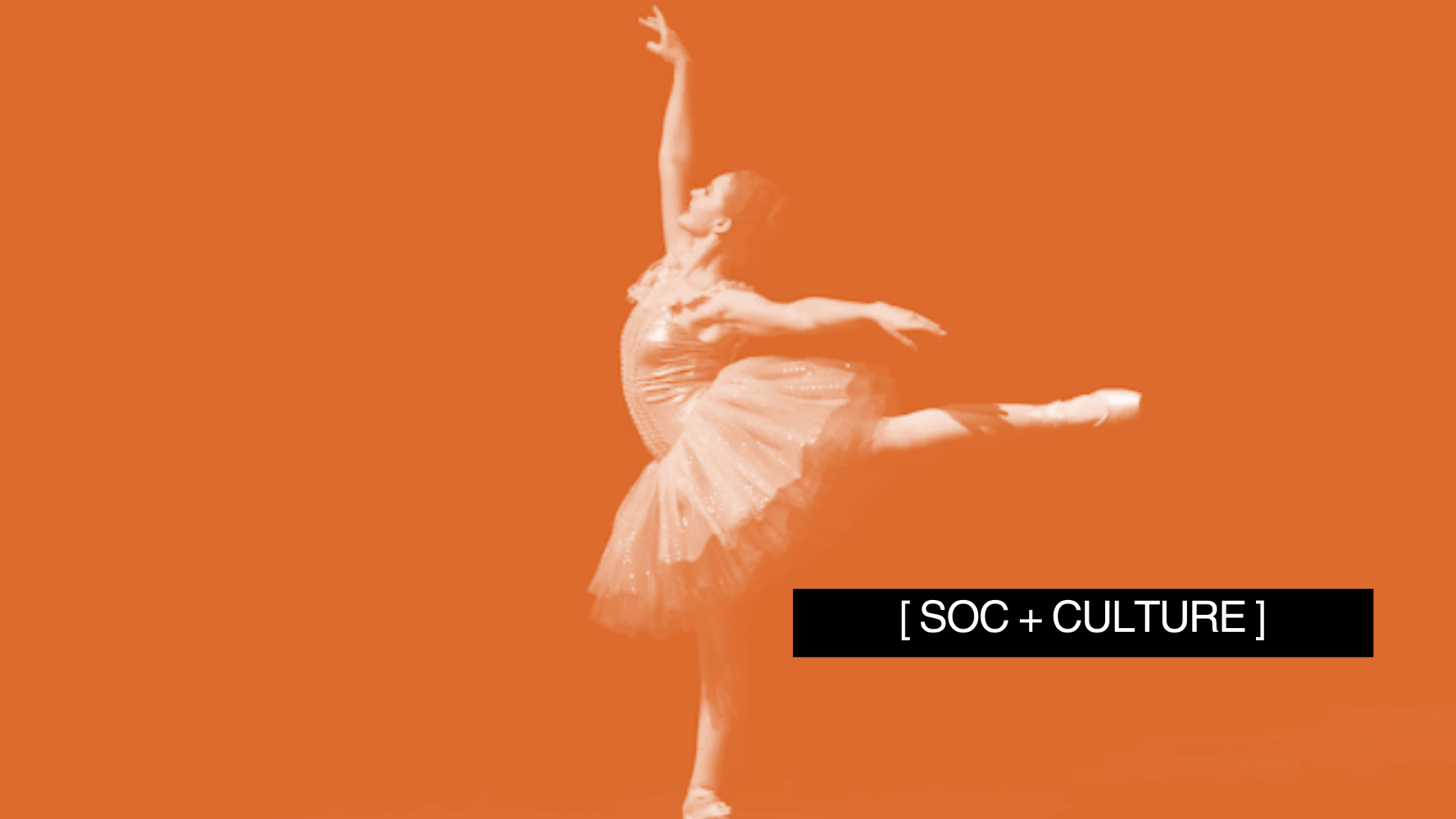 The Fine Arts Are Dying. Don’t Believe It? Ask Timothée Chalamet 