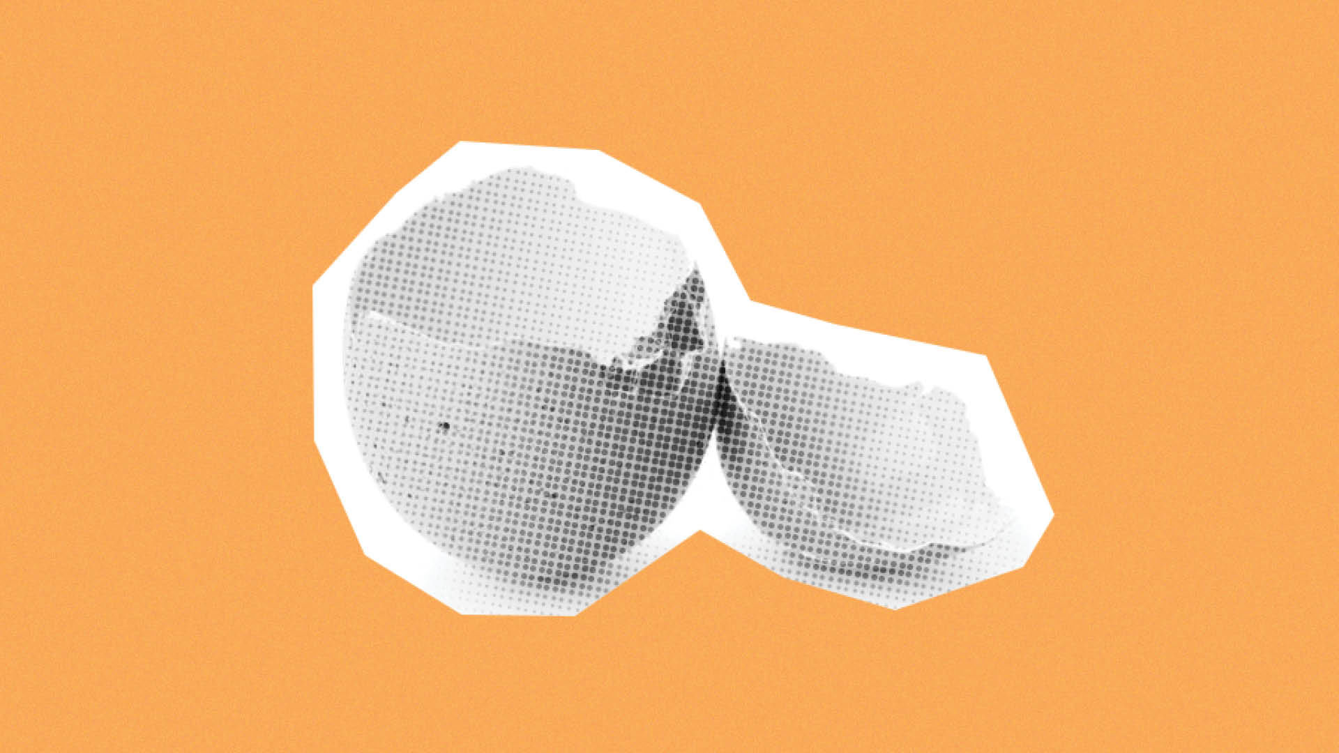 Eggshell Minds: Fragility, Power, and Fight