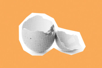 Eggshell Minds: Fragility, Power, and Fight