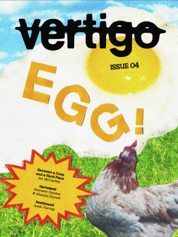 2025 VOL 4:  EGG