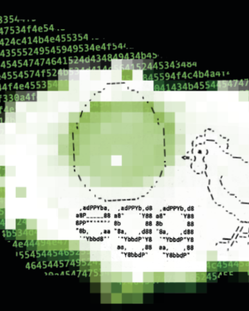 Cracking Code and Confidence