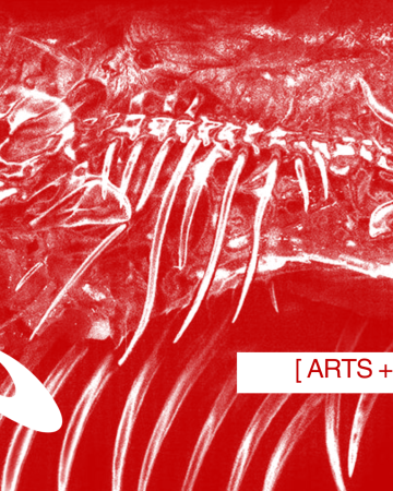 The Quiet Rapture of Hollywood