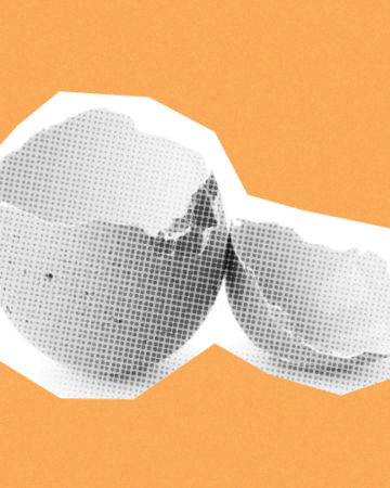 Eggshell Minds: Fragility, Power, and Fight