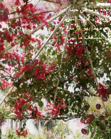 Watani (My Homeland)